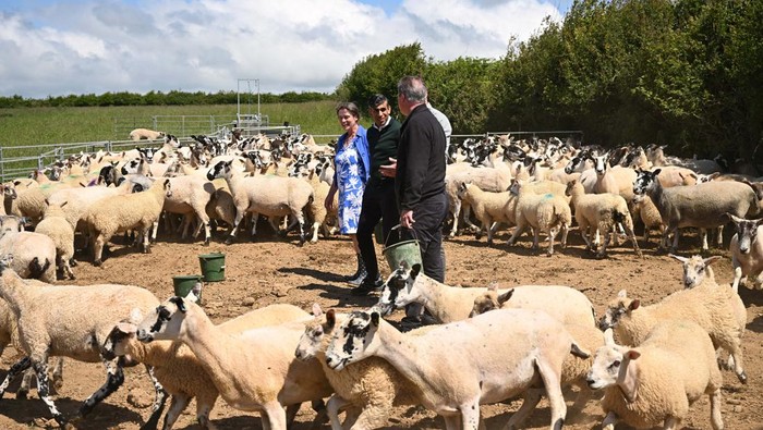British Prime Minister Rishi Sunak speaks to farmers as he campaigns on a farm near Barnstaple in North Devon, Britain, June 18, 2024. Leon Neal/Pool via REUTERS