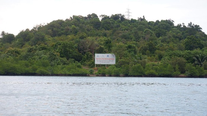 Penampakan Pulau Tanjung Sauh, Batam yang disahkan Jokowi jadi KEK baru. (dok. Istimewa)