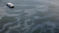 Dampak dari insiden itu, sekitar 400 ton minyak yang merupakan setengah dari jumlah pasokan minyak di kapal tumpah dan sebagian besar minyak terbawa ke bibir pantai.