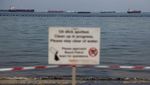 Penampakan Tumpahan Minyak Cemari Pantai di Singapura