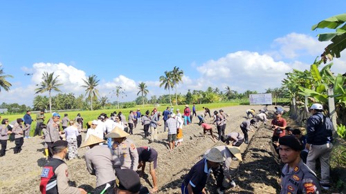 Polisi dan petani menanam sorgum di lahan seluas 13 are di Klungkung, Bali, Rabu (19/6/2024).
