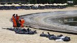 Potret Singapura Berjibaku Bersihkan 400 Ton Tumpahan Minyak dari Pantai