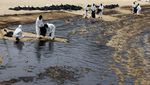 Potret Singapura Berjibaku Bersihkan 400 Ton Tumpahan Minyak dari Pantai