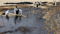 Para pengunjung beberapa klub pantai di Pulau Sentosa melaporkan bahwa air laut di sekitar pulau masih hitam, berminyak, dan baunya masih menyengat tiga hari setelah kecelakaan kapal. Berenang dan aktivitas laut lainnya saat ini dilarang di Sentosa, sementara beberapa pantai di Singapura ditutup sampai pemberitahuan lebih lanjut. REUTERS/Edgar Su
