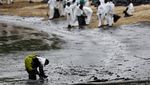 Potret Singapura Berjibaku Bersihkan 400 Ton Tumpahan Minyak dari Pantai