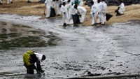 Sekitar 1.500 orang secara sukarela membantu proses pembersihan, kata pemerintah Singapura. REUTERS/Edgar Su