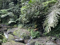 Melukat di Desa Taro Sekaligus Kuliner dengan Nuansa Khas Bali