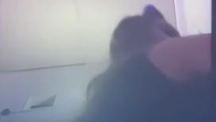 Video viral penganiayaan diduga terjadi di kos-kosan Kota Malang.