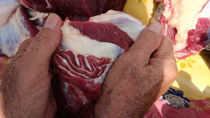 Warga memperlihatkan irisan daging kurban berlafaz Allah di Palembang.