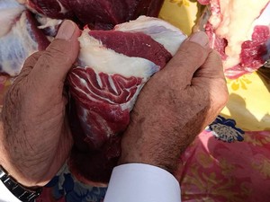Warga Palembang Kaget dan Takjub Lihat Irisan Daging Kurban Berlafaz Allah
