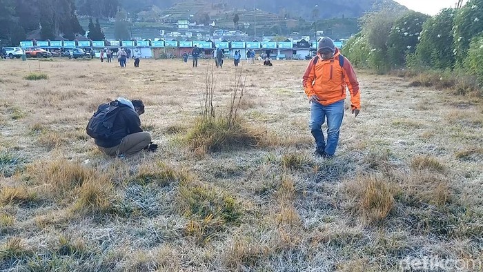Wisatawan berburu embun es di Dieng pada Agustus 2023.