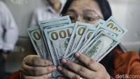 Petugas menghitung uang pecahan dolar AS maupun rupiah di jasa penukaran uang VIP, Jl Menteng Raya, Jakarta Pusat, Kamis (20/6/2024). 