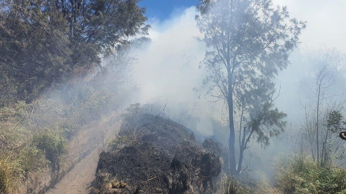 Kebakaran savana Puncak Lempitan, Gunung Bromo