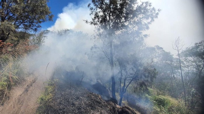 Api Melahap Savana Bukit Widodaren Gunung Bromo Padam, Kini Kembali Aman Dikunjungi