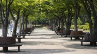Suhu panas di Seoul yang lebih tinggi dibandingkan sehari sebelumnya, terus berlanjut dengan mencapai 35 derajat Celsius. Terlebih lagi suhu pada siang hari di beberapa wilayah lainnya diperkirakan akan melebihi 35 derajat Celsius, seperti 37 derajat di kota Goyang, Provinsi Gyeonggi.   