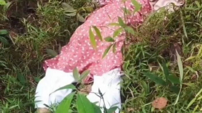 Mayat wanita ditemukan di kebun karet, diduga korban perampokan disertai pemerkosaan.