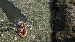 Sampah yang Menumpuk di Sungai Citarum Dibersihkan