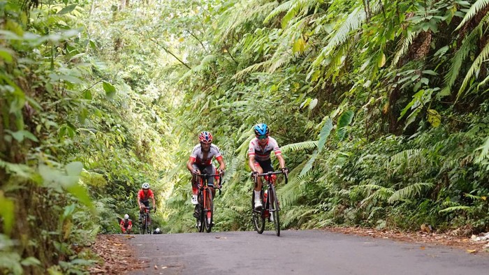 Pemkab Banyuwangi