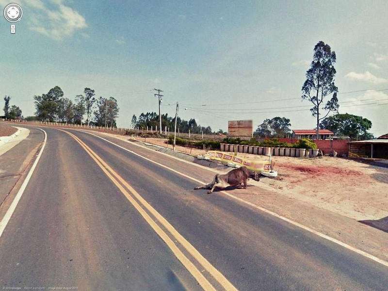 Google Street View menangkap pemandangan suatu jalan dengan keadaan di sekelilingnya. Kadang, hasilnya bisa semengerikan ini.