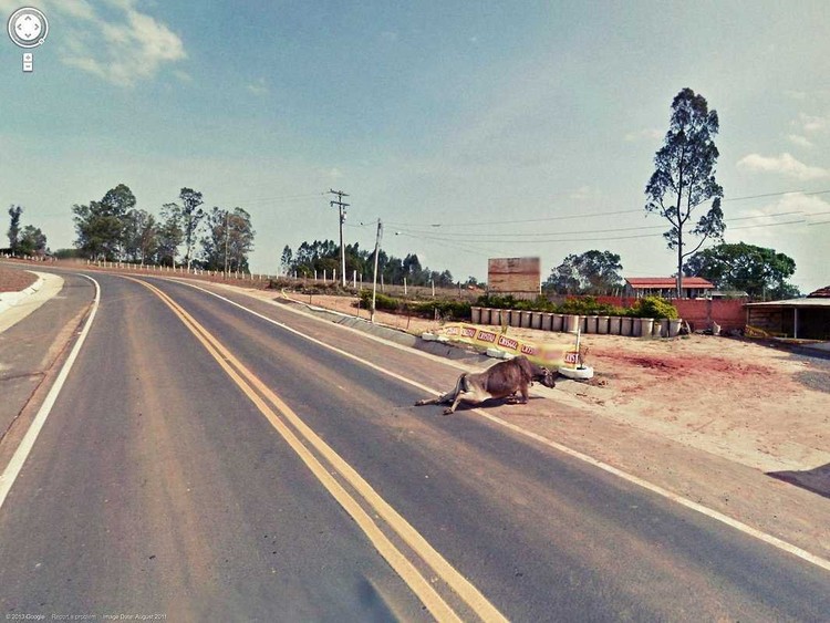 Penampakan di Google Street View yang Bikin Merinding Google Street View menangkap pemandangan suatu jalan dengan keadaan di sekelilingnya. Kadang, hasilnya bisa semengerikan ini.