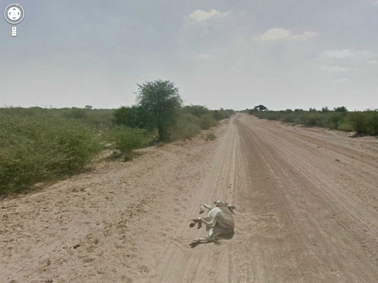 Google Street View menangkap pemandangan suatu jalan dengan keadaan di sekelilingnya. Kadang, hasilnya bisa semengerikan ini.