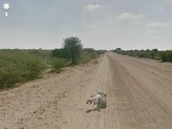 Misteri Penampakan di Google Street View, Bikin Merinding
