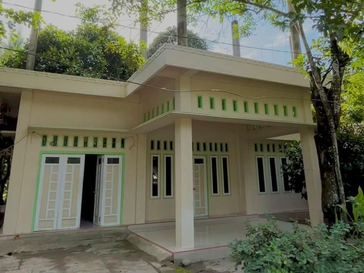 Potret Rumah Pohon Nangka Tembus Plafon yang Videonya Viral