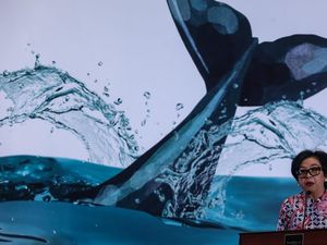 Upaya Mengakhiri Polusi Plastik di Indonesia