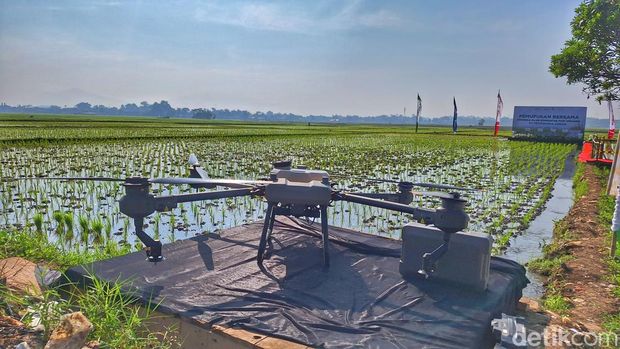 Alat drone yang digunakan pemupukan pertanian di Bandung