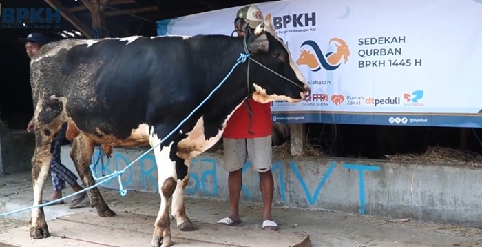 BPKH Salurkan 1.554 Hewan Kurban