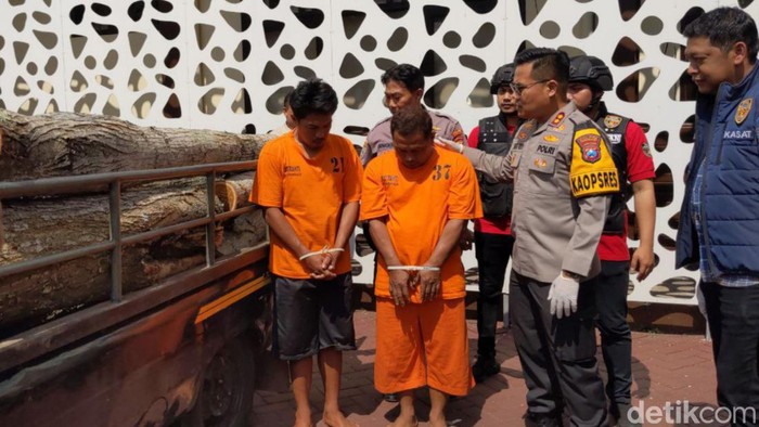 Dua warga Trenggalek ditangkap gegara curi kayu