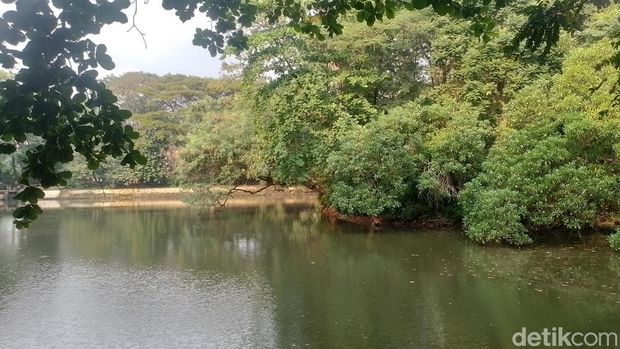 Hutan Kota Srengseng, Kembangan, Jakarta Barat