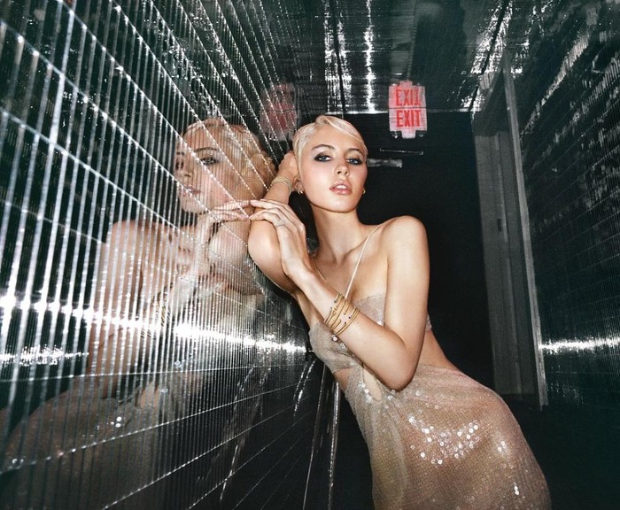 Iris Law