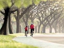 Kualitas Udara Jadi Perhatian, Kawasan Ini Siapkan 5 Ha Area Hijau