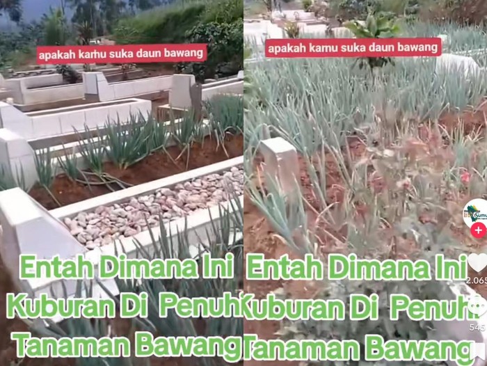 makam penuh daun bawang