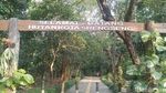Oase di Tengah Jakarta Itu Bernama Hutan Kota Srengseng