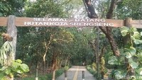 Namun siapa sangka, kawasan asri ini dulunya merupakan sebuah tempat pembuangan sampah.