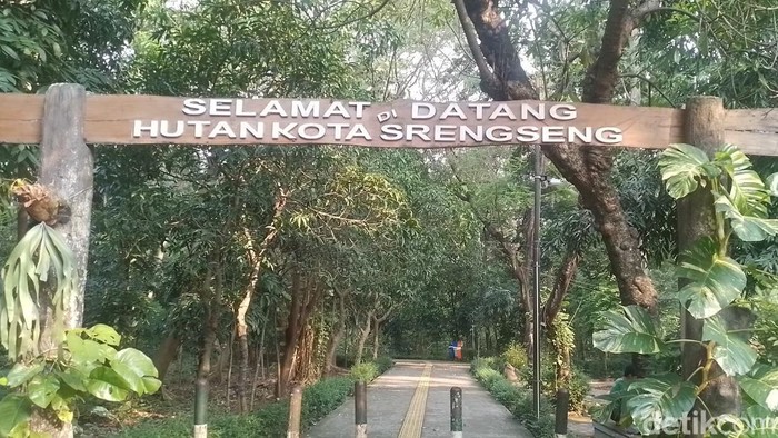 Oase di Tengah Jakarta Itu Bernama Hutan Kota Srengseng Oase di Tengah Jakarta Itu Bernama Hutan Kota Srengseng