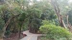 Oase di Tengah Jakarta Itu Bernama Hutan Kota Srengseng