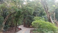 Hutan kota yang kini luasnya kurang dari 10 hektare itu banyak ditumbuhi berbagai pohon bahkan jumlahnya hingga ribuan, mulai dari pohon pelindung hingga pohon produktif ada di Hutan Kota Srengseng ini. Halim mengatakan dirinya pernah melakukan sensus terhadap pohon yang berdiameter 30 cm yang  jumlahnya sekitar 2.000.