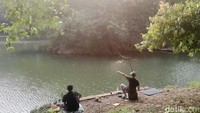 Selain bisa menikmati hijaunya lahan ini, Hutan Kota Srengseng juga memiliki danau yang cukup luas. Saat detikTravel datang berkunjung banyak masyarakat yang tengah asik memancing, tak mengenal tua atau muda.