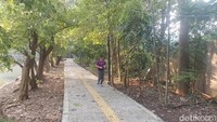 Berkeliling sejenak sembari menikmati sore hari, detikTravel juga melihat beberapa pengunjung yang menjadikan Hutan Kota Srengseng ini sebagai sarana berloharga. Ada yang sekadar berjalan kaki, jogging hingga bersepeda.