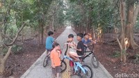Buat kamu yang ingin berkunjung ke Hutan Kota Srengseng, bisa datang setiap hari mulai dari jam 07.00 sampai 17.00 WIB dengan harga tiket Rp 3.000 saja. Dan jangan lupa jika berkunjung ke sini siapkan lotion anti nyamuk, kalau nggak siap-siap badan kamu digigit nyamuk.