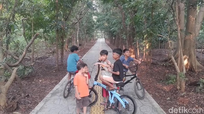 Oase di Tengah Jakarta Itu Bernama Hutan Kota Srengseng