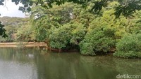 Berada di wilayah Jakarta Barat, hutan kota ini sekaligus jadi daya tarik masyarakat untuk merasakan Jakarta tempo dulu yang masih banyak dipadati pepohonan.