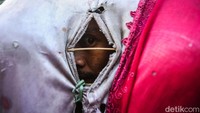 Pemprov DKI Jakarta melarang ondel-ondel digunakan untuk mengemis. Larangan itu diterapkan sebagai bentuk penghargaan terhadap warisan budaya Betawi.