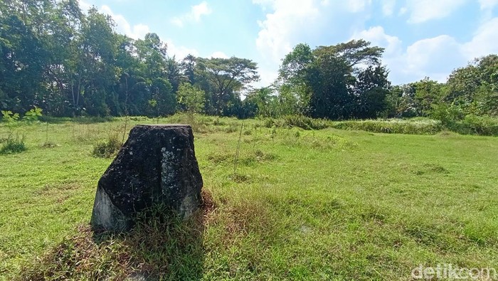 Sisa artefak Pabrik Gula Rewoeloe yang terletak di tengah persawahan Dusun Pirak Bulus, Sidomulyo, Godean, Jumat (21/6/2024).