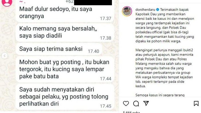 Beredar Pesan Diduga dari Pelaku yang Paku Kucing di Pohon Perumahan Malang