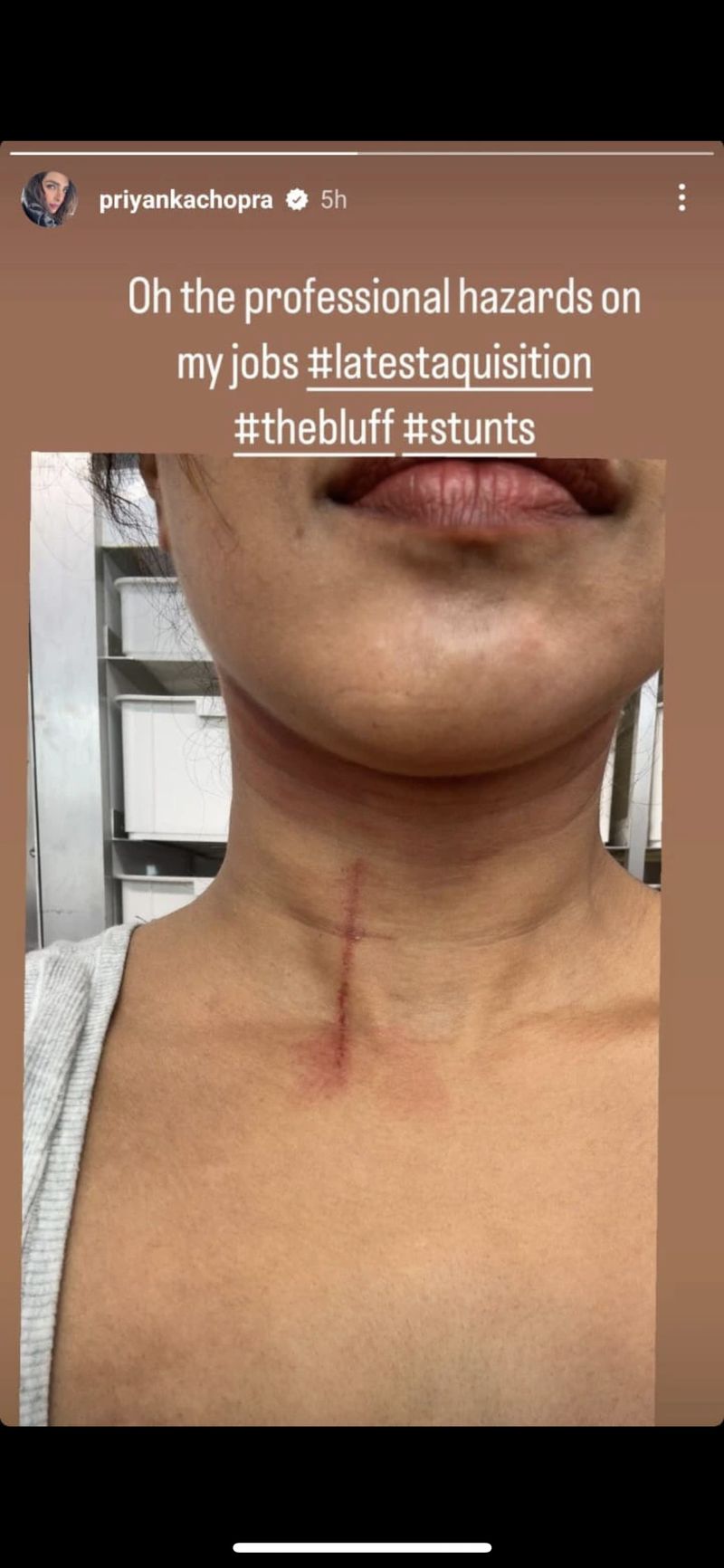 Unggahan Priyanka Chopra di tengah syuting the Bluff.