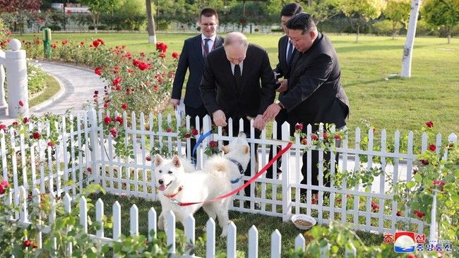Putin Diberi Kim Jong Un Hadiah Anjing Pungsan
